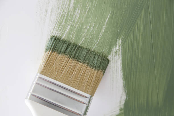 Best Forensic Mold Investigation  in Milmay, NJ