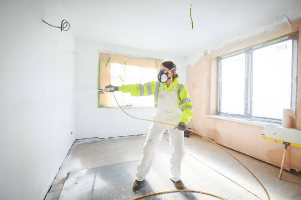 Best Basement Mold Removal  in Milmay, NJ