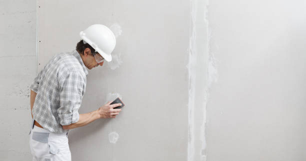 Best Mold Prevention Services  in Milmay, NJ