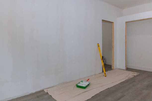 Best Black Mold Removal  in Milmay, NJ