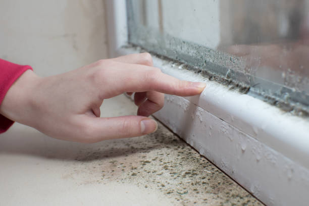 Best Dehumidification Services  in Milmay, NJ