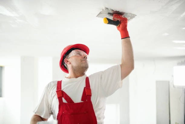Best Environmental Consulting for Mold Prevention  in Milmay, NJ