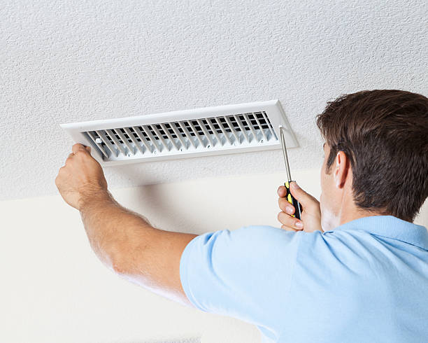 Best Mold Prevention Services  in Milmay, NJ