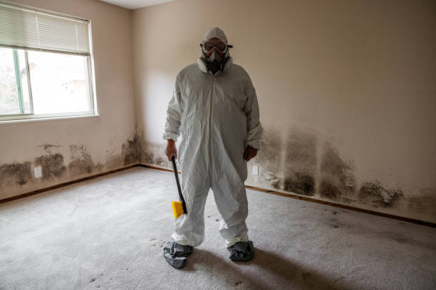 Forensic Mold Investigation in Milmay, NJ