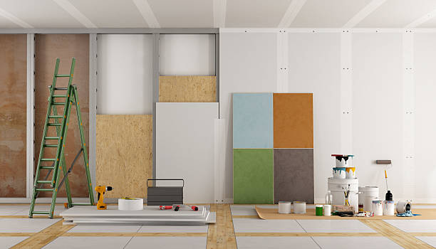 Best Mold Damage Restoration  in Milmay, NJ